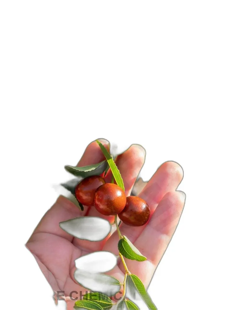 olej jojoba 100ml do skóry i włosów